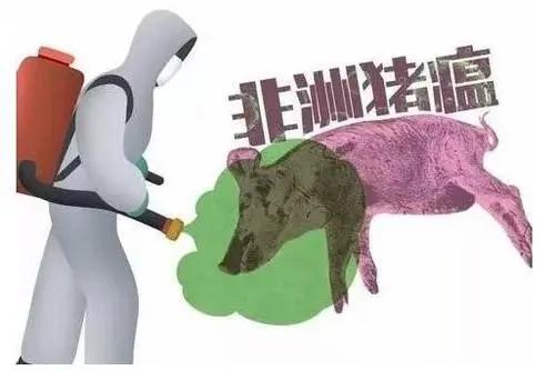 今日猪肉市场最新价格及走势与影响因素解析