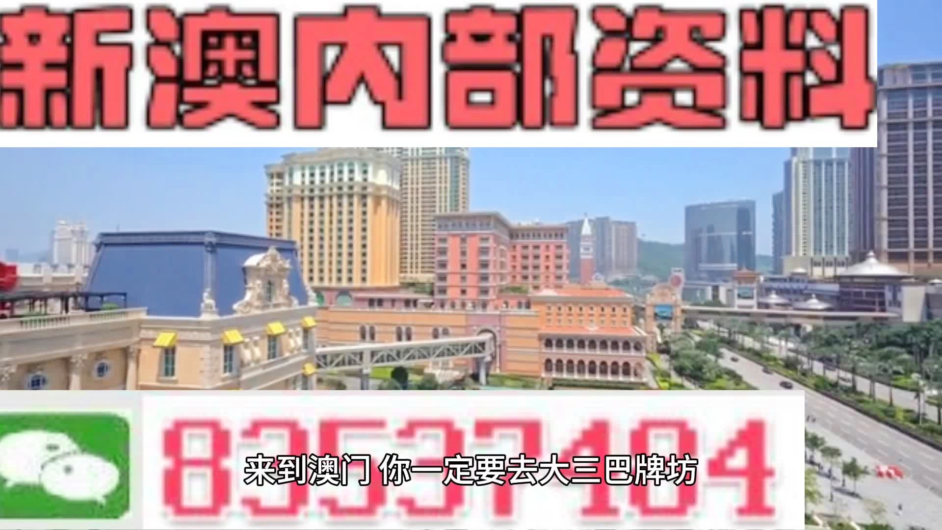 新澳门资料免费长期公开,2024,全面解答解释落实_PT41.924