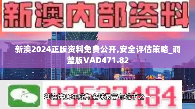 2024新澳正版免费资料的特点｜实用技巧与详细解析