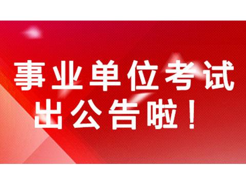 山东最新招聘动态及其地区影响分析