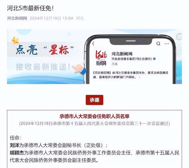 河北最新人事任免动态深度解析
