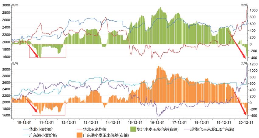 山东小麦价格行情最新分析