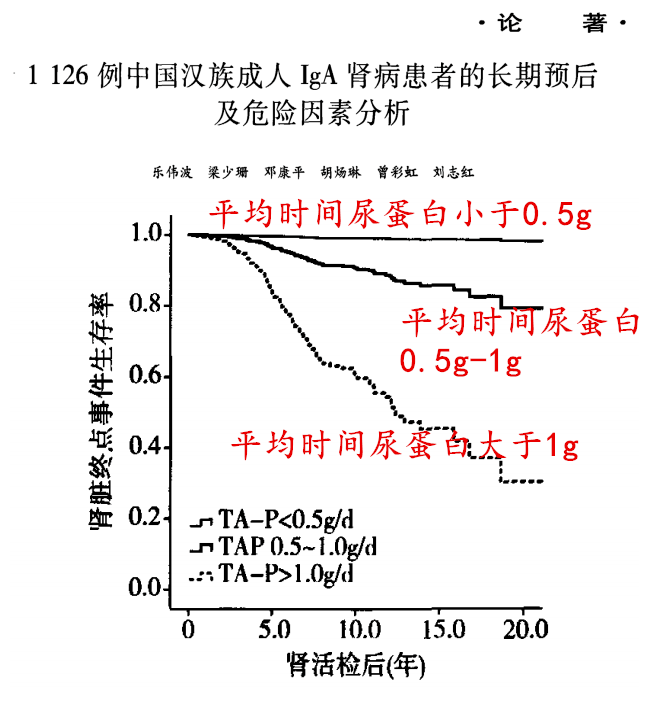 肾病最新研究成果揭秘，前沿进展与治疗方法探讨