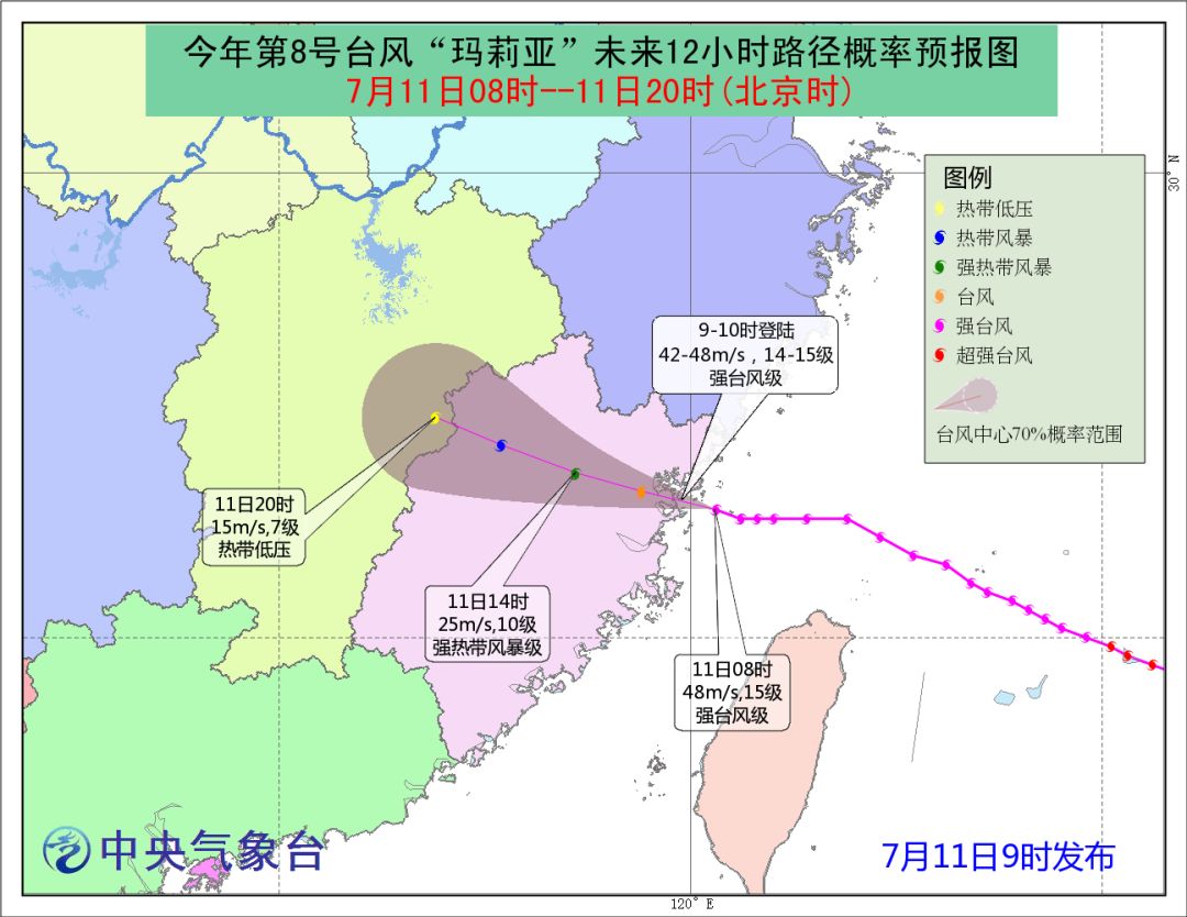 丽水台风最新动态，全方位应对，确保安全