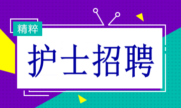 呼市招聘网最新动态及其影响力