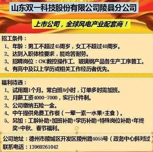 文登招聘网最新招聘动态深度解析