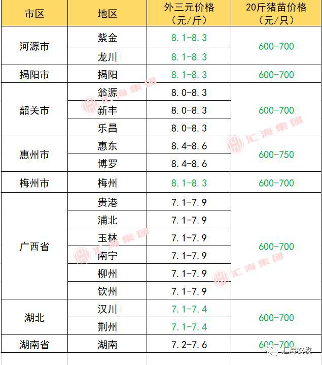 猪的最新价格行情解析