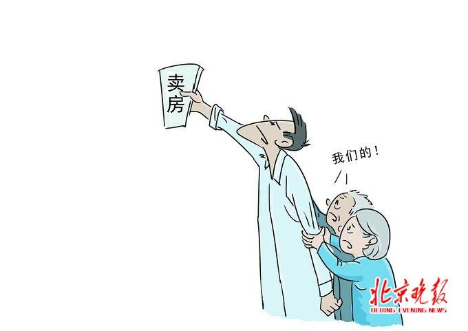 借名买房案例解析，风险、挑战及应对策略探讨