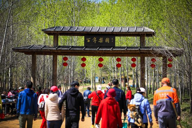 长春莲花山，最新发展动态与未来展望