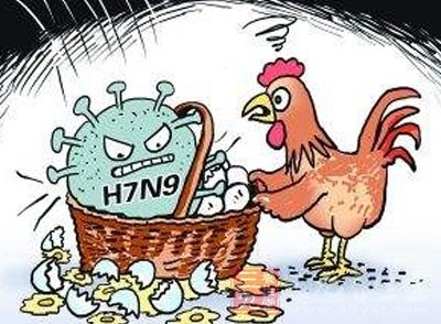 H7N9最新疫情深度探讨