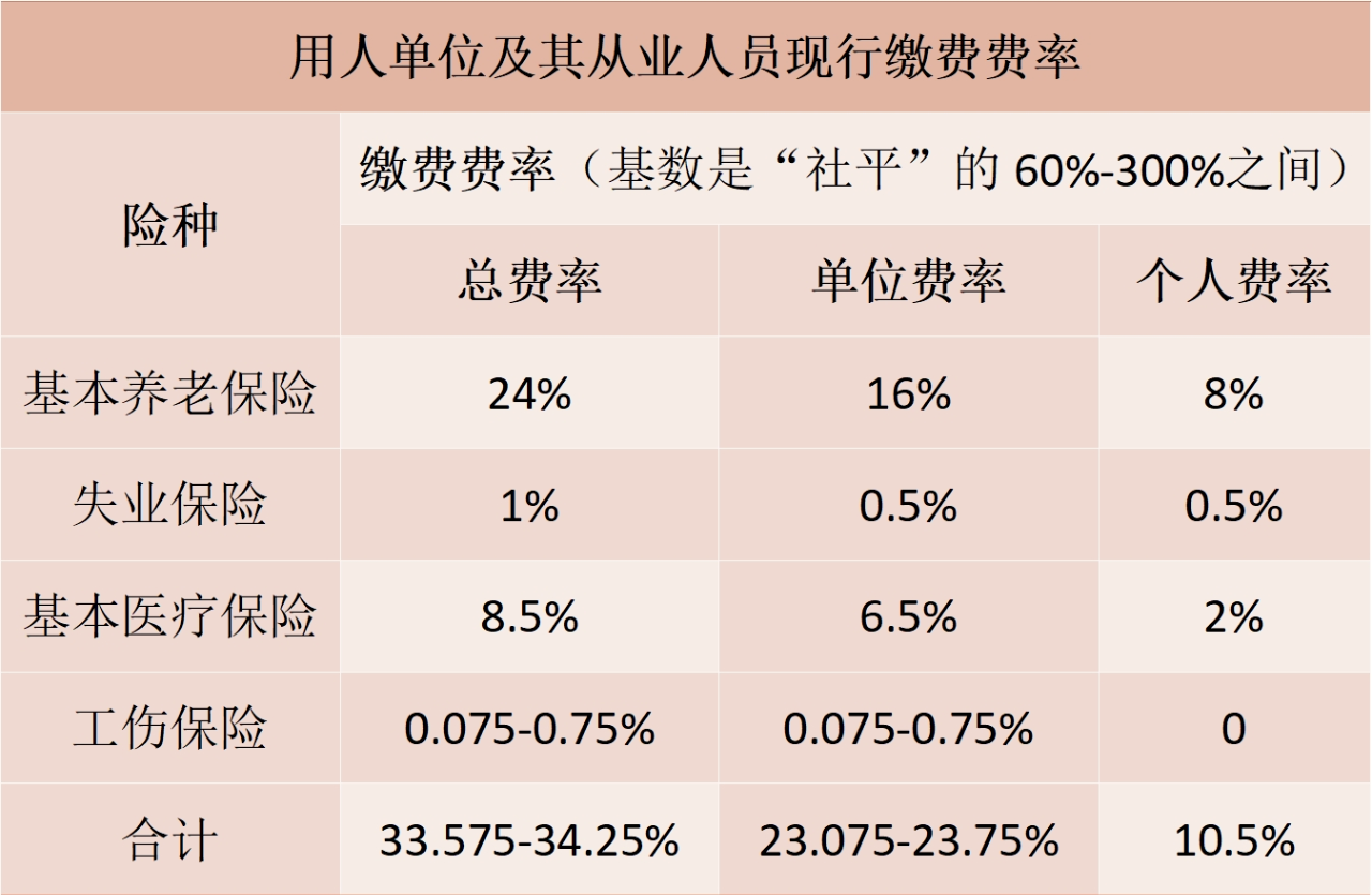 最新社保消息深度解析，变革与挑战并存的现状与展望